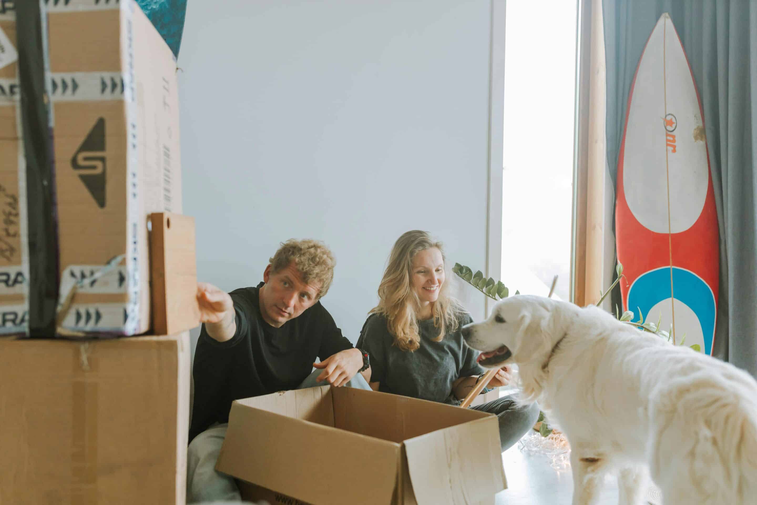 Two people packing moving boxes with a dog in the front right of the photo. 