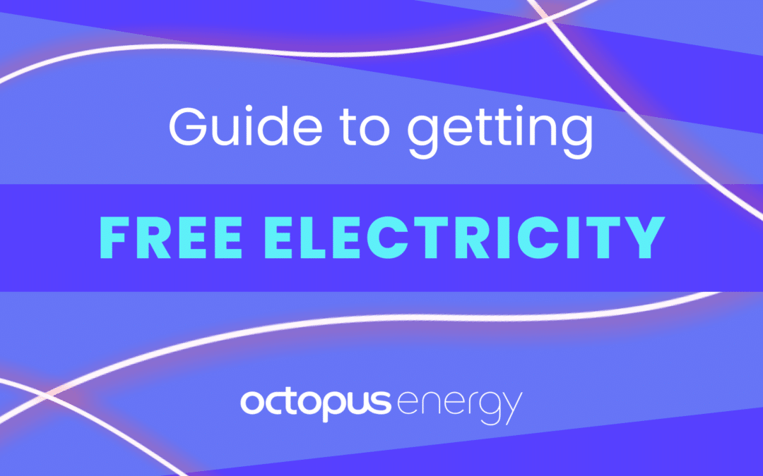 How you can get free electricity from Octopus Energy